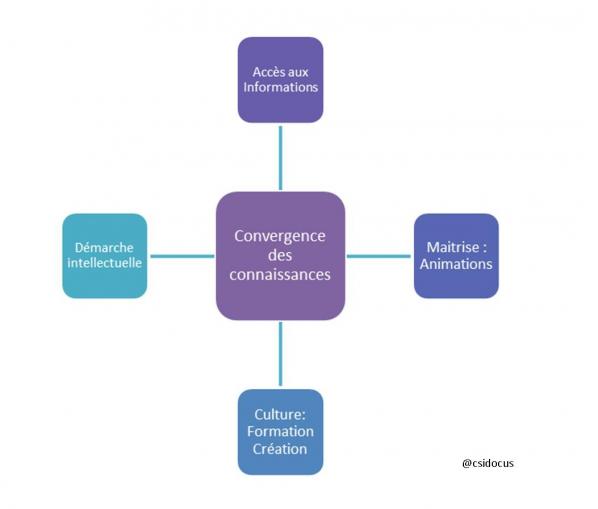 Convergence des connaissances