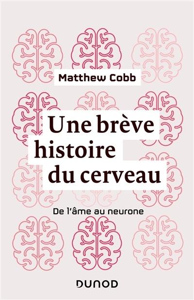 Une breve hist du cerveau